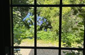 L'Orangerie du Château Loyd Pays de Caux - Foto 21