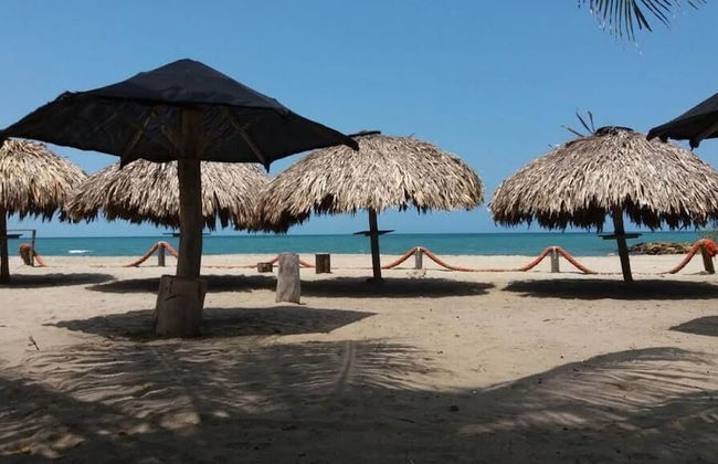 Las acacias Tolu - Foto 1