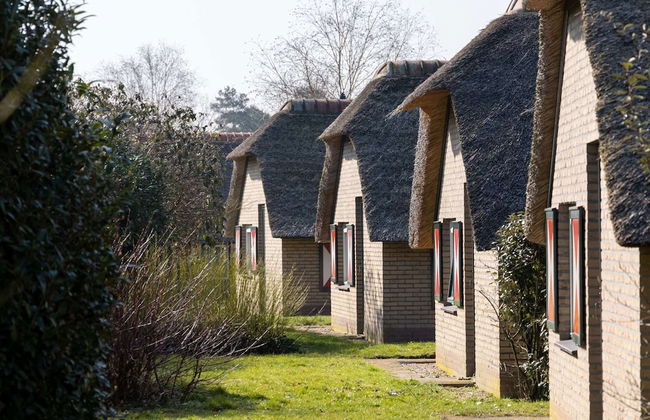 Bungalow in Veluwe Nature Park Retreat - Photo 22