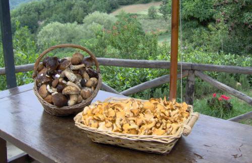 La Cittadella Dei Monti Sibillini - Foto 54