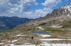 Isola 2000 appartement au pied des pistes wi-fi - Photo 30