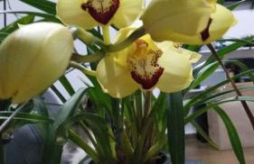 Querência MaeDa - Photo 65