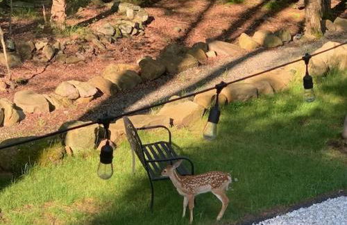 Majestic Lake Front Chalet - Foto 64