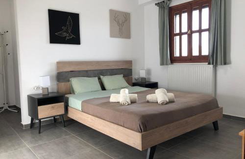 Παραδοσιακό σπίτι με τζάκι - Foto 28