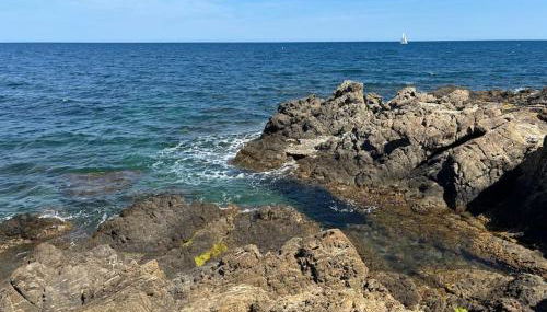 St Aygulf, appartement climatisé 70m2, piscine privée , 4 personnes - Foto 5