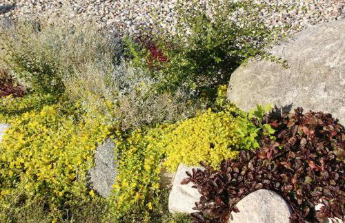 U Aptekarzy - Foto 26