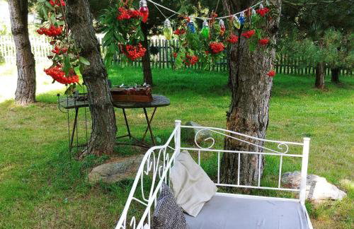 Noclegi Zielona Gęś - Foto 19