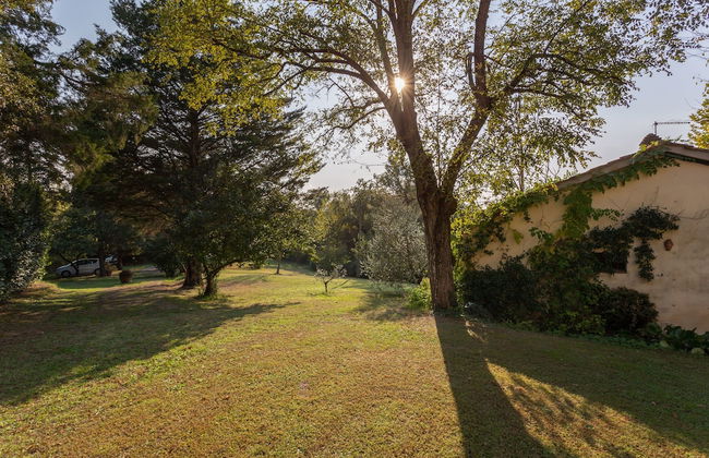 Podere Le Capannucce - Foto 35