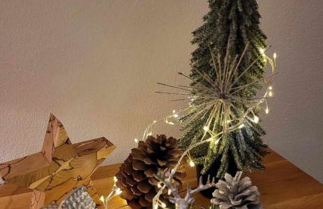 Tauberperle - Exklusives Ferienapartment - Foto 16