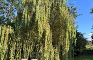 All'Ombra Del Tiglio - Foto 49