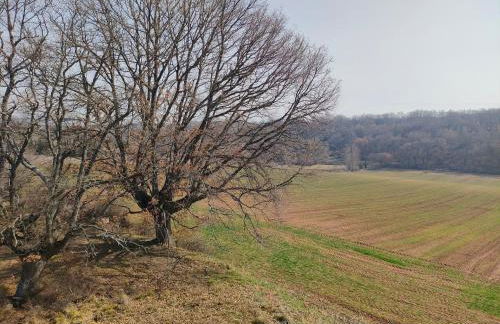 Oak Grove Cirueña - Foto 9