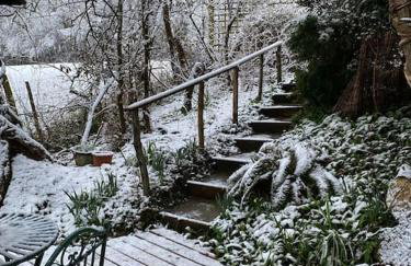 Cabin in the Woods - Foto 6
