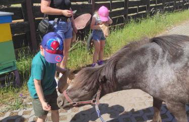 Farma Puchałowo - Foto 59