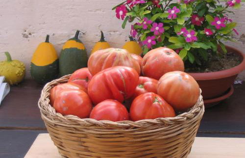 Agriturismo Le Castellare - Foto 76