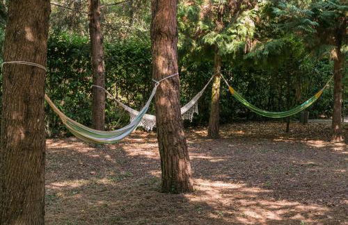 Torrinheira ~ Family Pool Villa and Woods - Foto 14