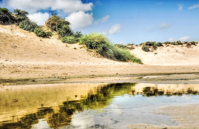 4 bedroom House in Noordwijk with garden and terrace - Photo 16