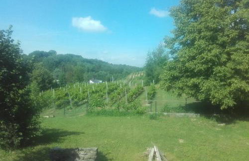 Dom w Zielonej Dolinie - Foto 4