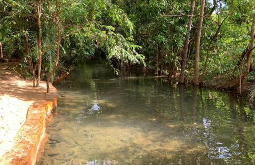 Park Veredas Apto 334 - Foto 67