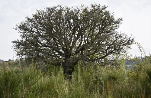 HOME L'UPUPA AMIATA - Foto 45