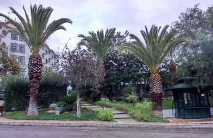 le Boucanier - Foto 28