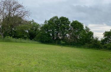 Maison Pro Le Blanc - 3 chambres - Foto 34