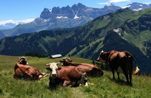 LATITUDE 47 - Foto 22