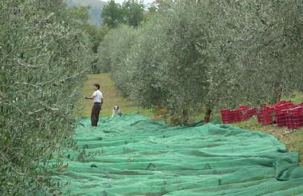 Agriturismo Frallarenza - Foto 57