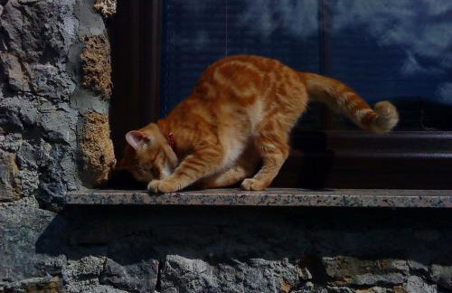 House Marijan - Foto 5