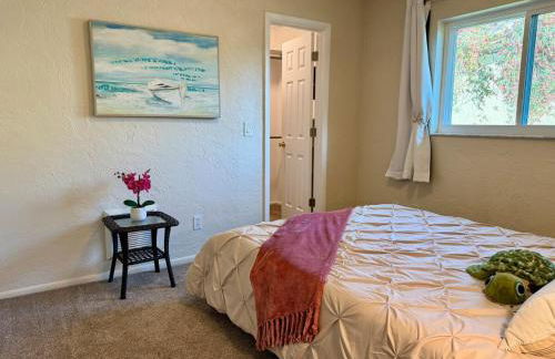 Coastal Retreat 4 Rooms Close To Clearwater & IRB - Foto 9