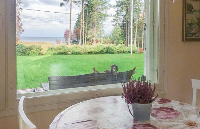 Merivanamo - Foto 10