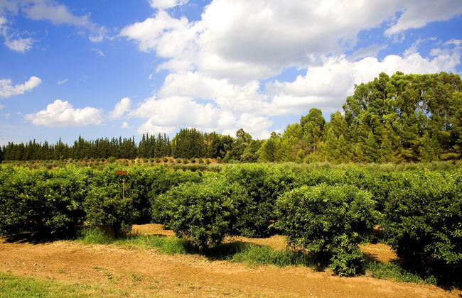 Borgo Valle Rita - Country Resort - Photo 22