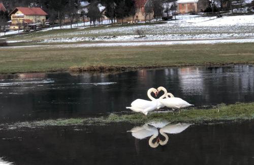 Apartment Matasić self check-in and check-out - Foto 42