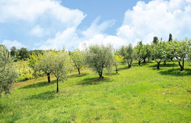 Apartment Near Pisa, Beaches - Foto 33