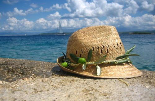 Seafront house Šolta - Foto 44