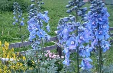 Appartament Anna 4 - Foto 23