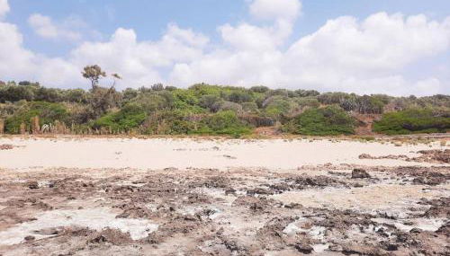 Villa Teresa Palinuro - Foto 5