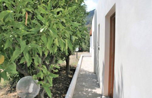 Case al Mare - terrazzi panoramici e ampio giardino - Foto 47