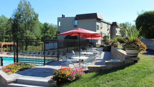 Tree Top Getaway - Photo 5