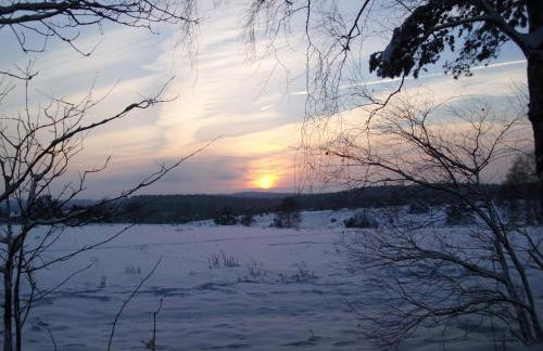 Haus Petersen - Foto 40