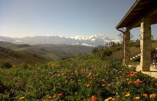 Agriturismo Cignale della Società Agricola Cignale srl - Photo 59