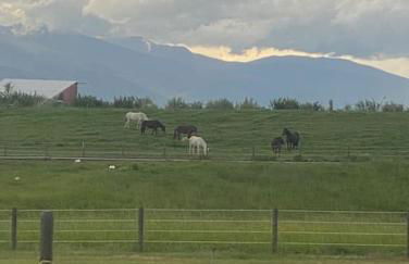 Silver Ranch - Foto 16