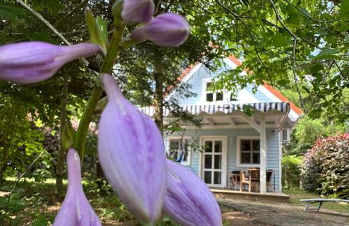 Kwiat Paproci - Foto 39