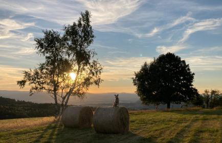 Na Piotrowickiej Przełęczy - Foto 61