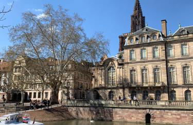 Charming Apartment with JACUZZI Centre Strasbourg Gare - Foto 18