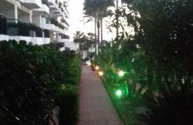 Mi Capricho - Photo 60