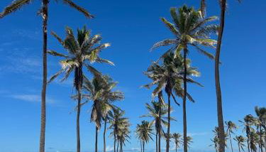 Paracuru casa temporada Villa Ariane - Foto 3