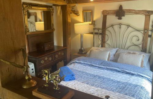 Little Pentre Barn with cozy logburner - Foto 40