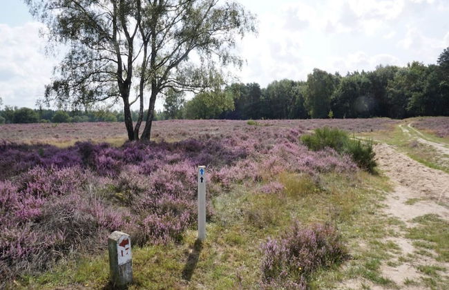 Peaceful Holiday Home in Lemele - Photo 33