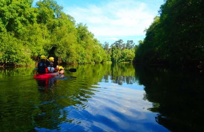 Tour en kayak por el río Limia - Foto 5