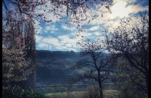 Gemütliches Apartment mit Moselblick - Foto 1